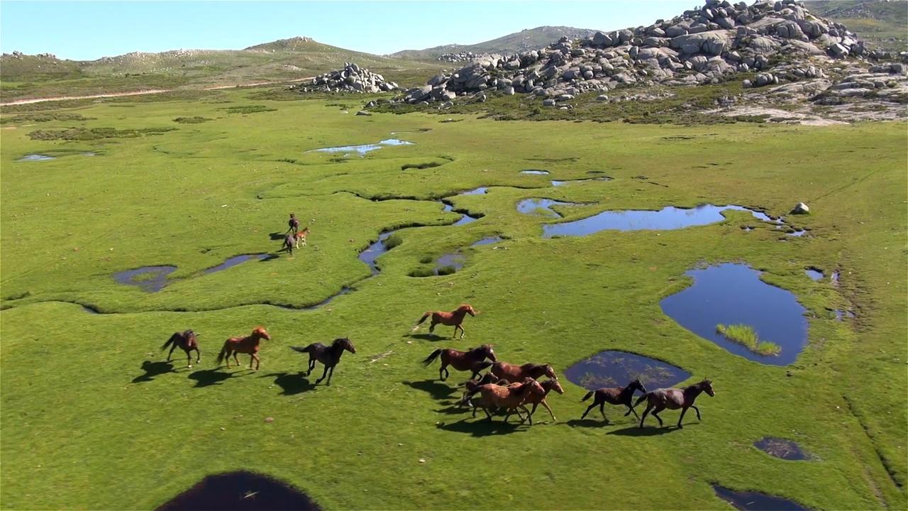 מלון Quenza Sole E Monti מראה חיצוני תמונה