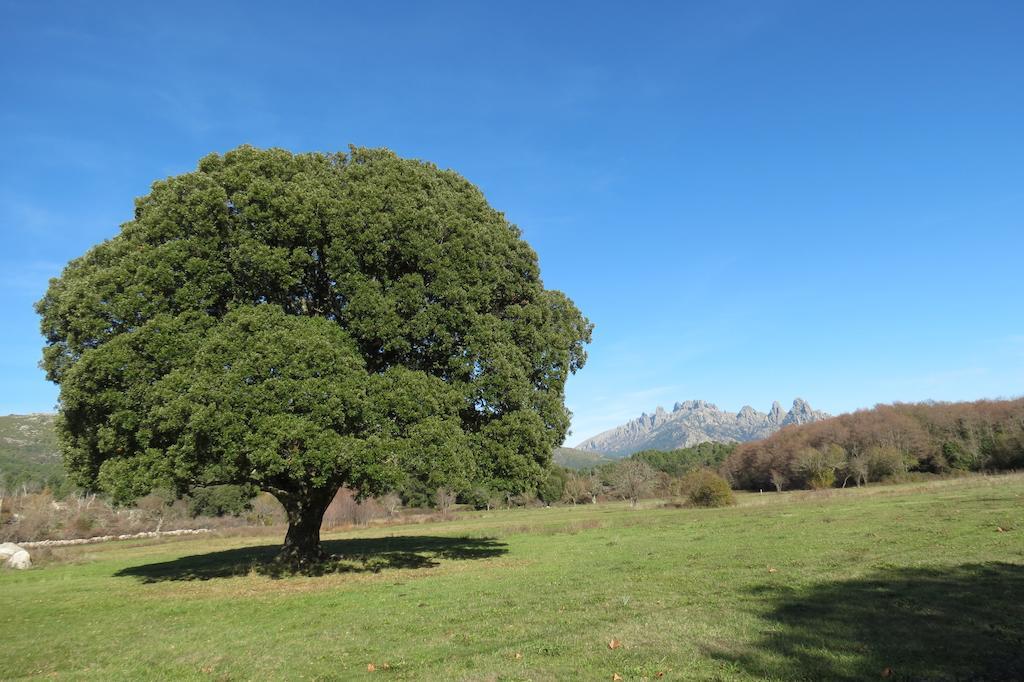 מלון Quenza Sole E Monti מראה חיצוני תמונה